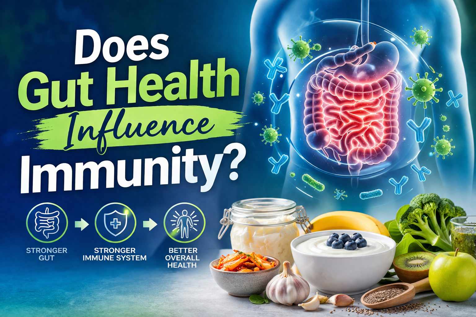 Does Gut Health Influence Immunity?
